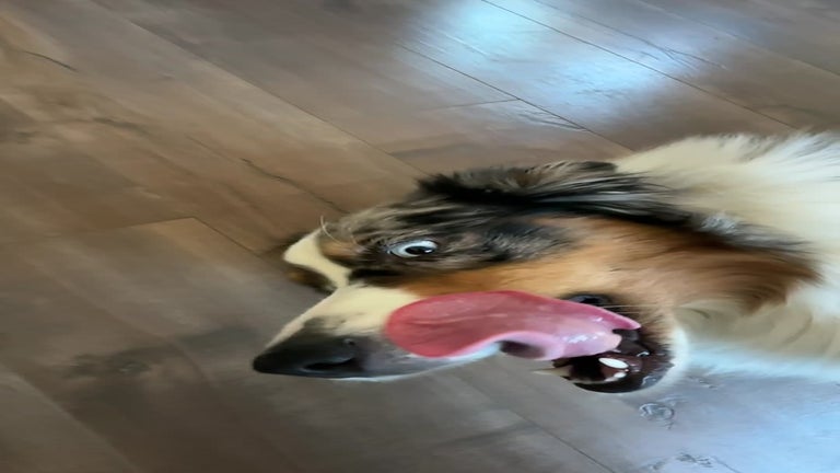 Video player poster image