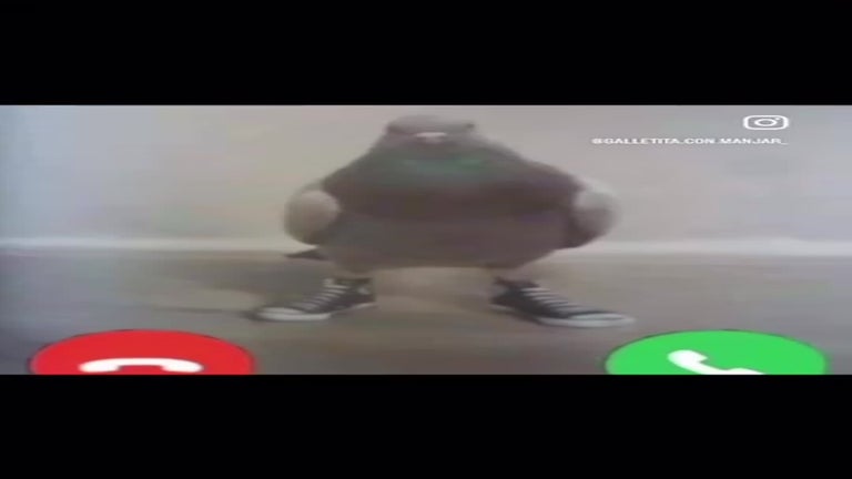 Video player poster image