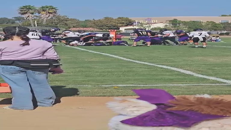 Video player poster image