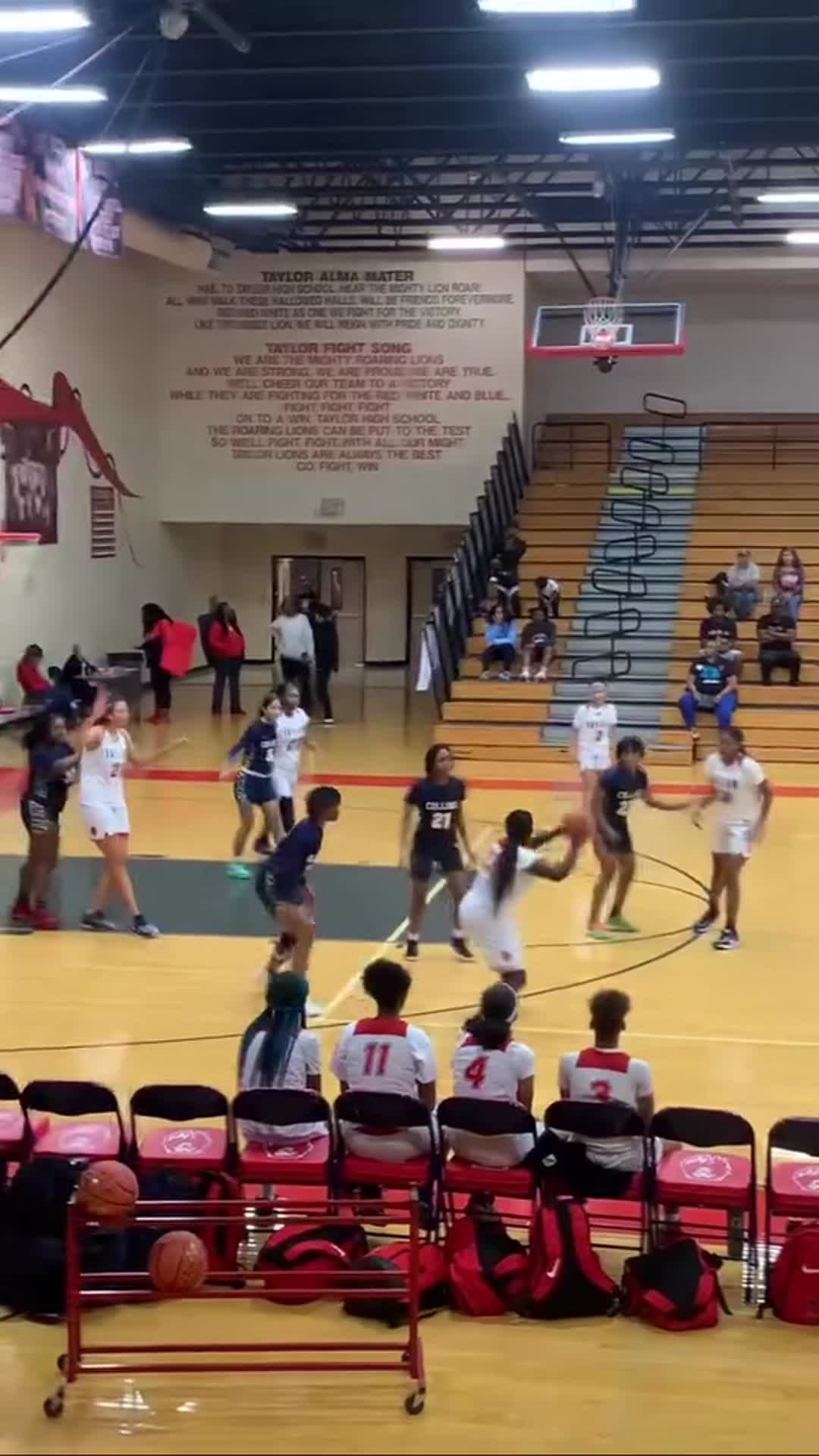 Taylor Vs Klein Collins