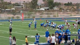 Jett Levy TD