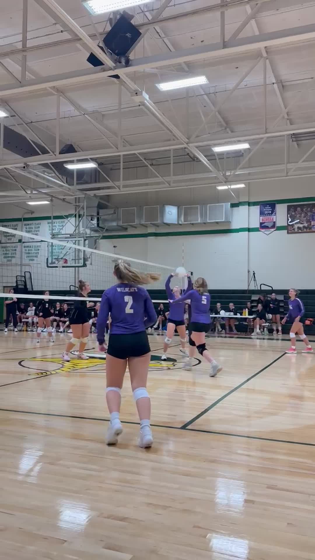 Attack by Natalie Wilkinson