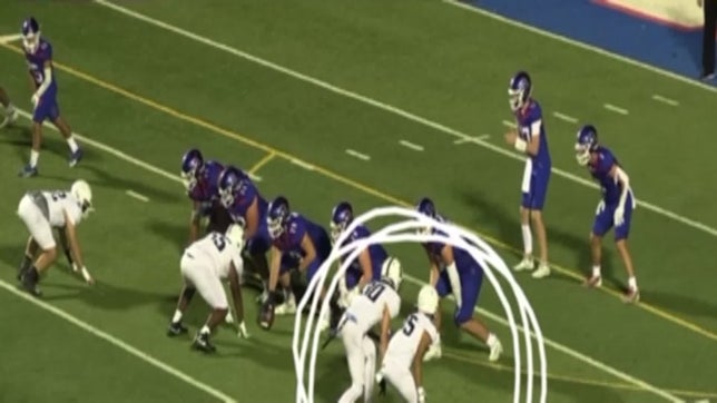 41 Tackles, 2 Sacks, and 2 PBU