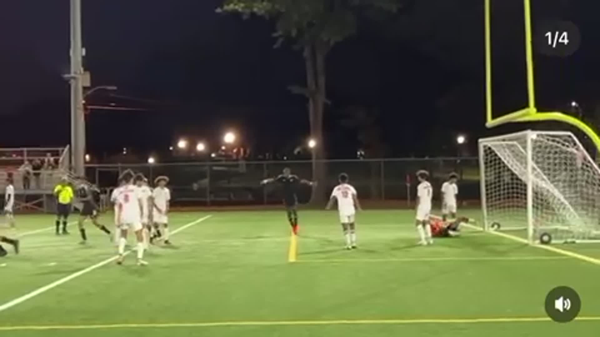 Dickinson - Beloved (Goal)