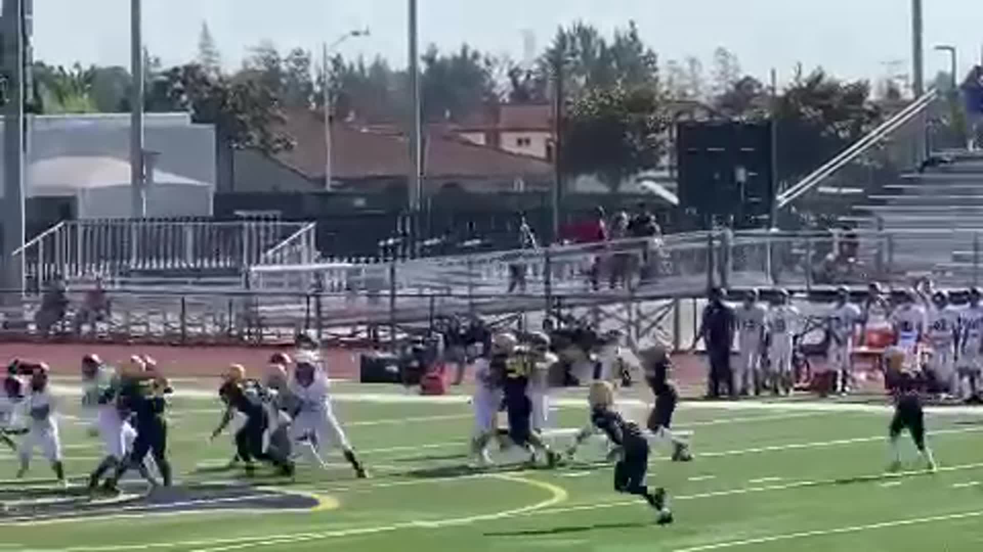 Ocho running into Ray