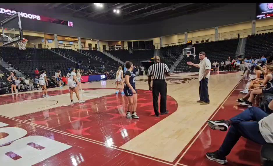 Brindlee mountain vs cyber tech