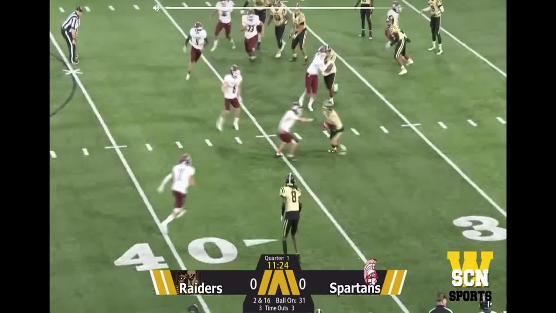 Fumble recovery touchdown