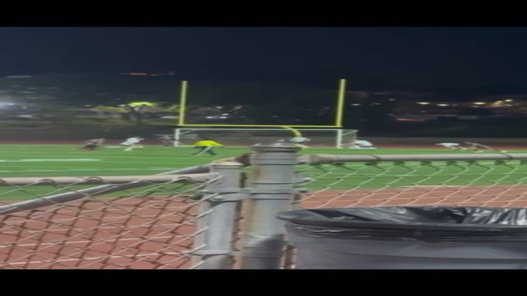 Video player poster image