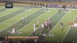 3 Week Highlight - 9 TDS 289 Rush Yds 365 Total Yds