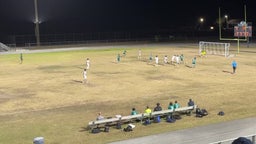 West Port x Lake Weir - Antonio (Goal 8)