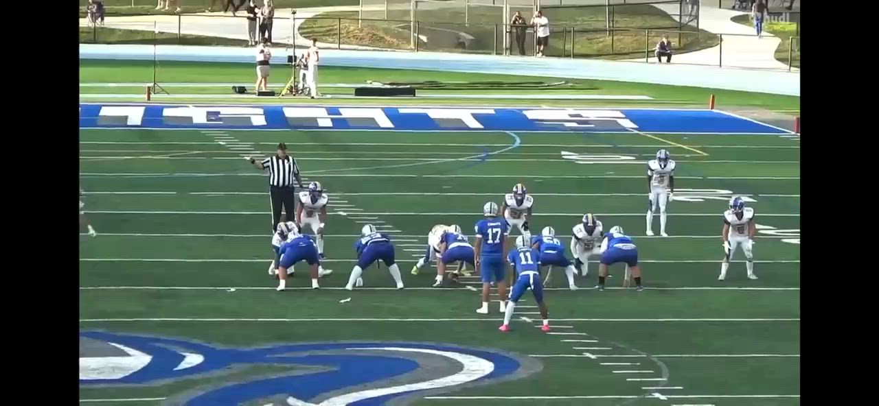103 yards; 8 carries; 3 20+ yard runs; 2 10+ yards