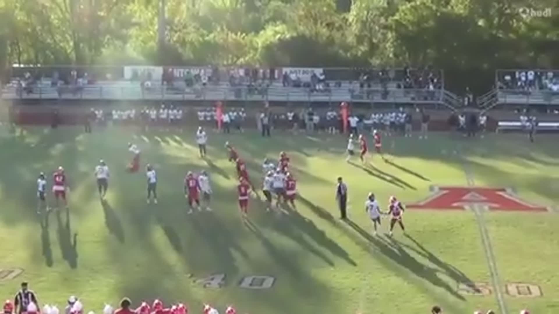 Matthew Trigo 2024 Defensive highlights