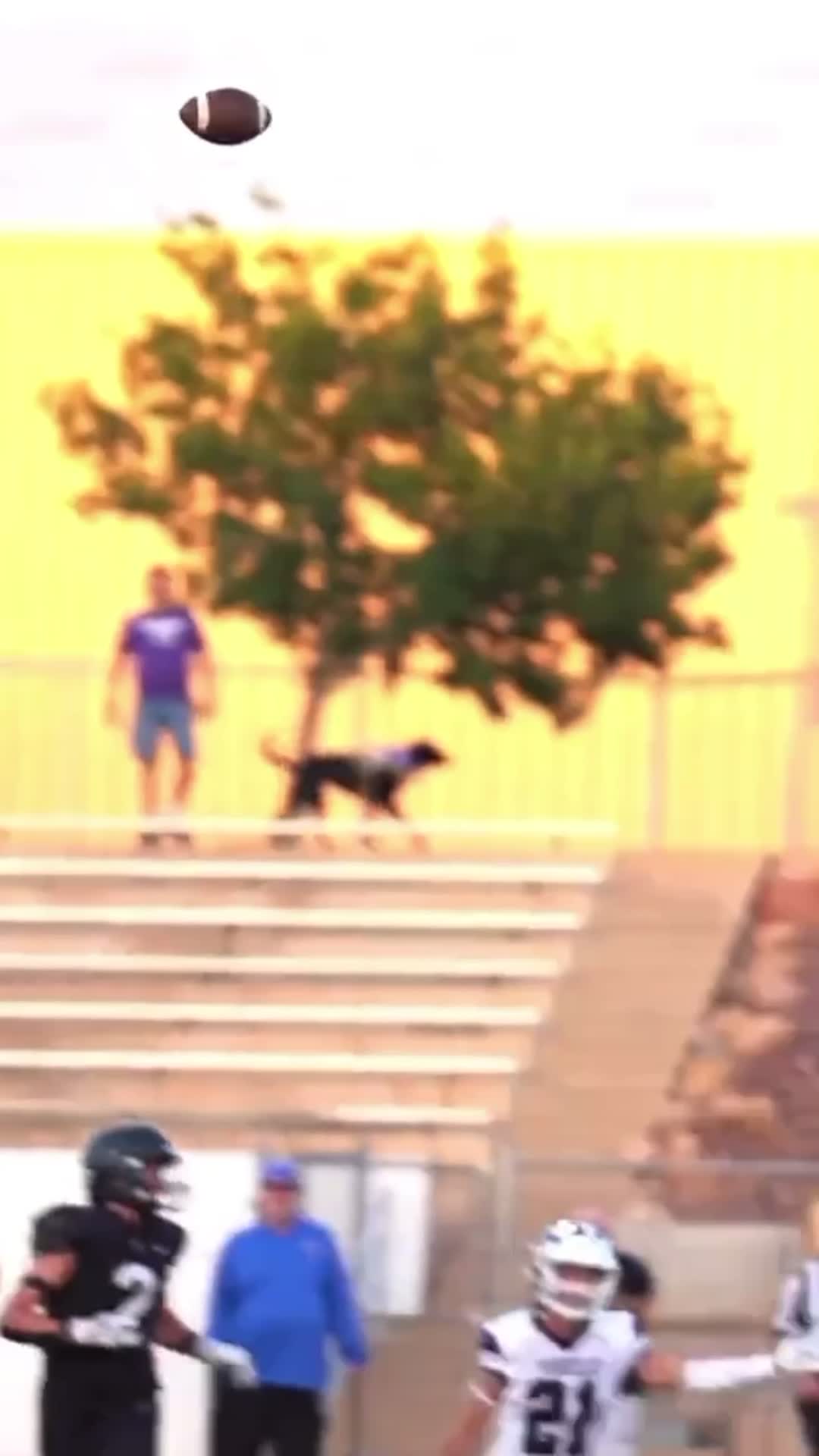 One handed catch