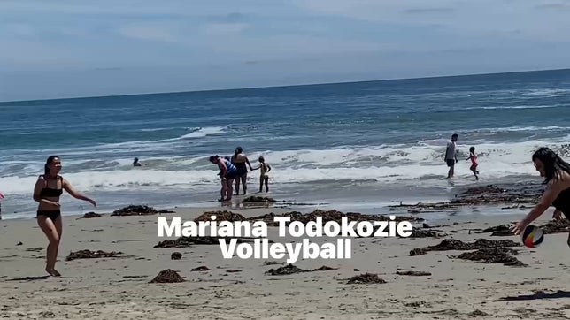 Volleyball 24-25