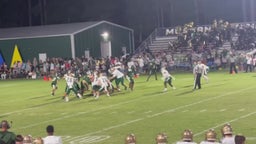 Hornet Defensive Highlights