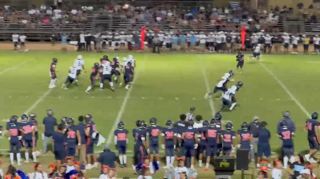 Fake punt for touchdown...