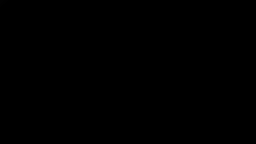 Highlights