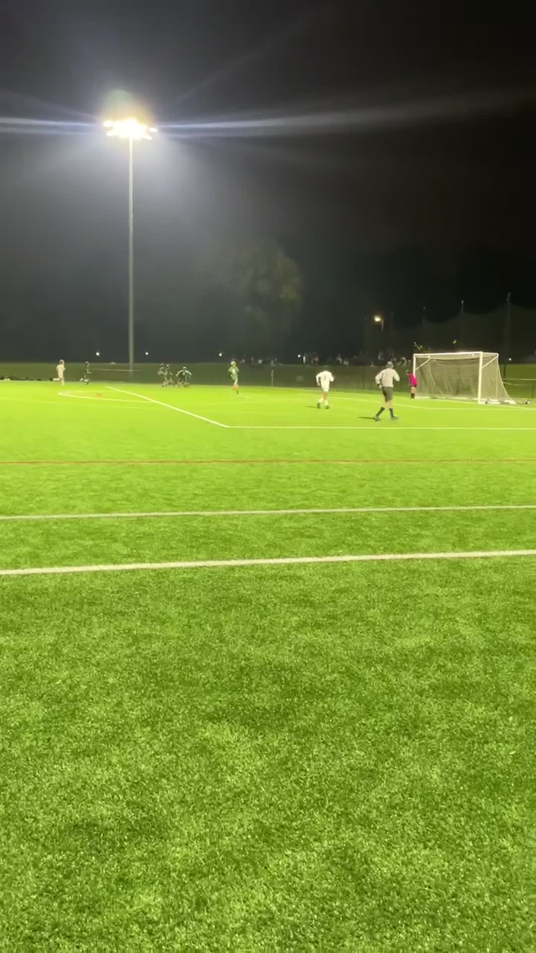 Game winning goal in OT to win championship