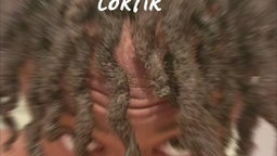 Cody bank