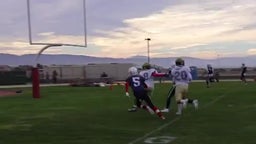 One handed catch in end zone.