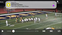 Bruno Vega TD