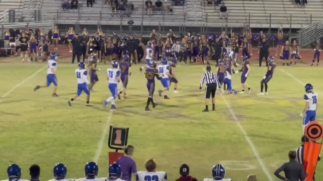 Season highlights