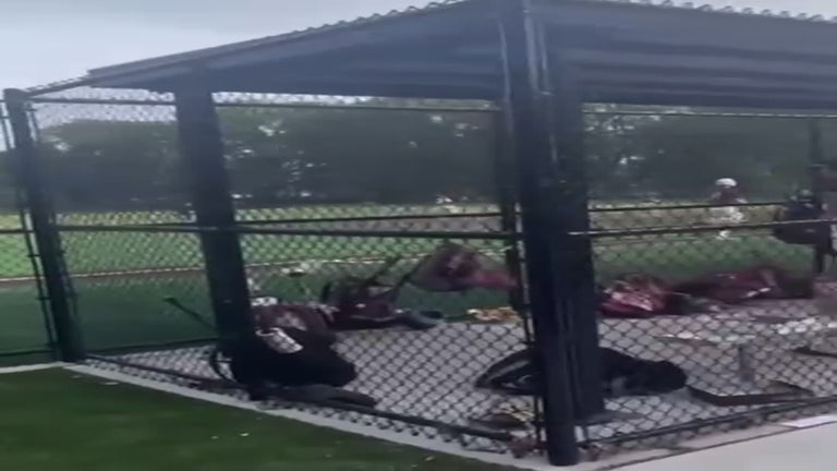 Video player poster image