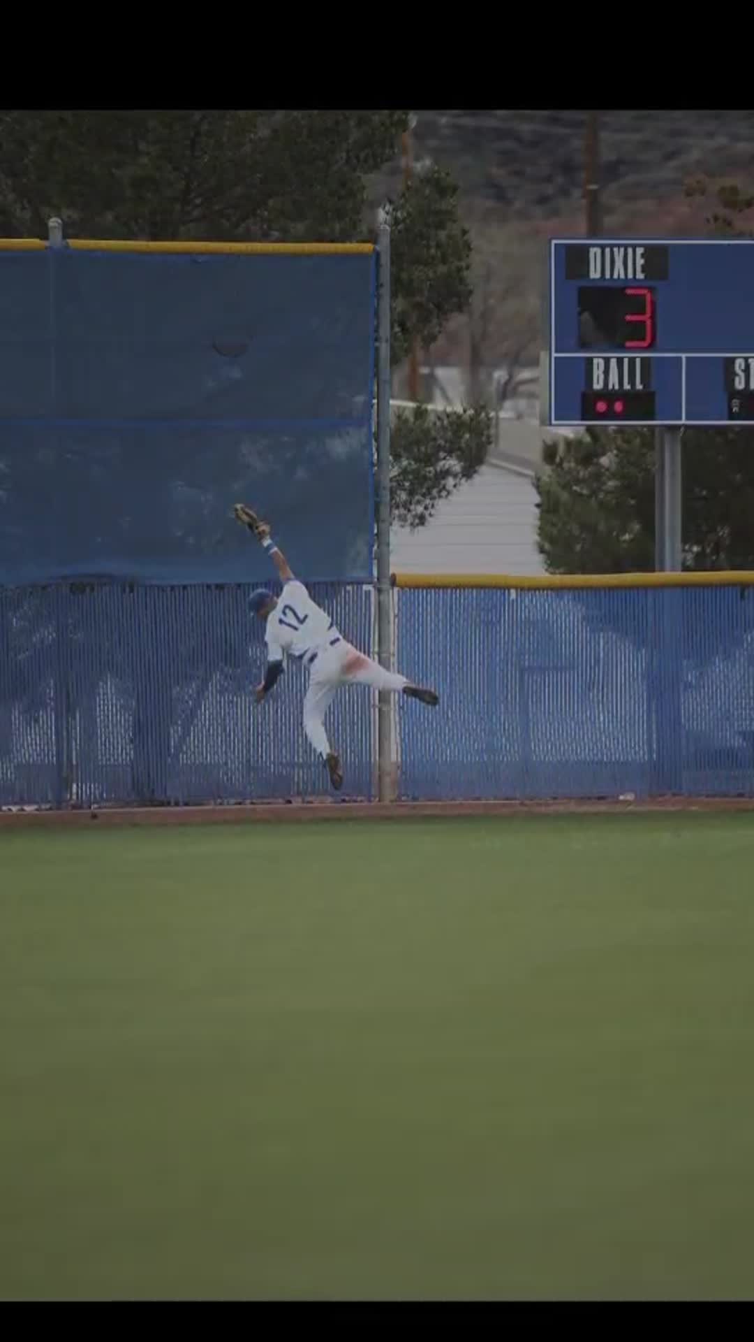 jumping for a catch
