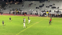 League Champions Of 2025