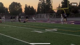 Stagg vs tokay
