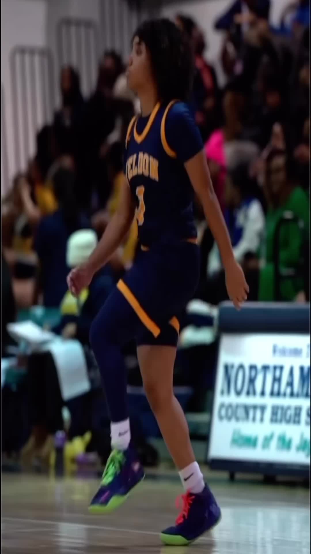 Shaelyn Johnson Highlights