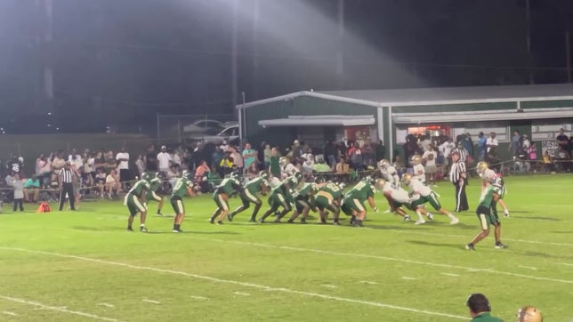 Defense stuffing the run