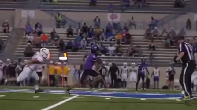 Stats:
Passing: 
1643 yards
16TDs
13.4 yards per pass
101.9 QBR
Rushing: 
397 yards/ 10TDs