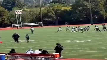60 yard pass and catch for a touchdown