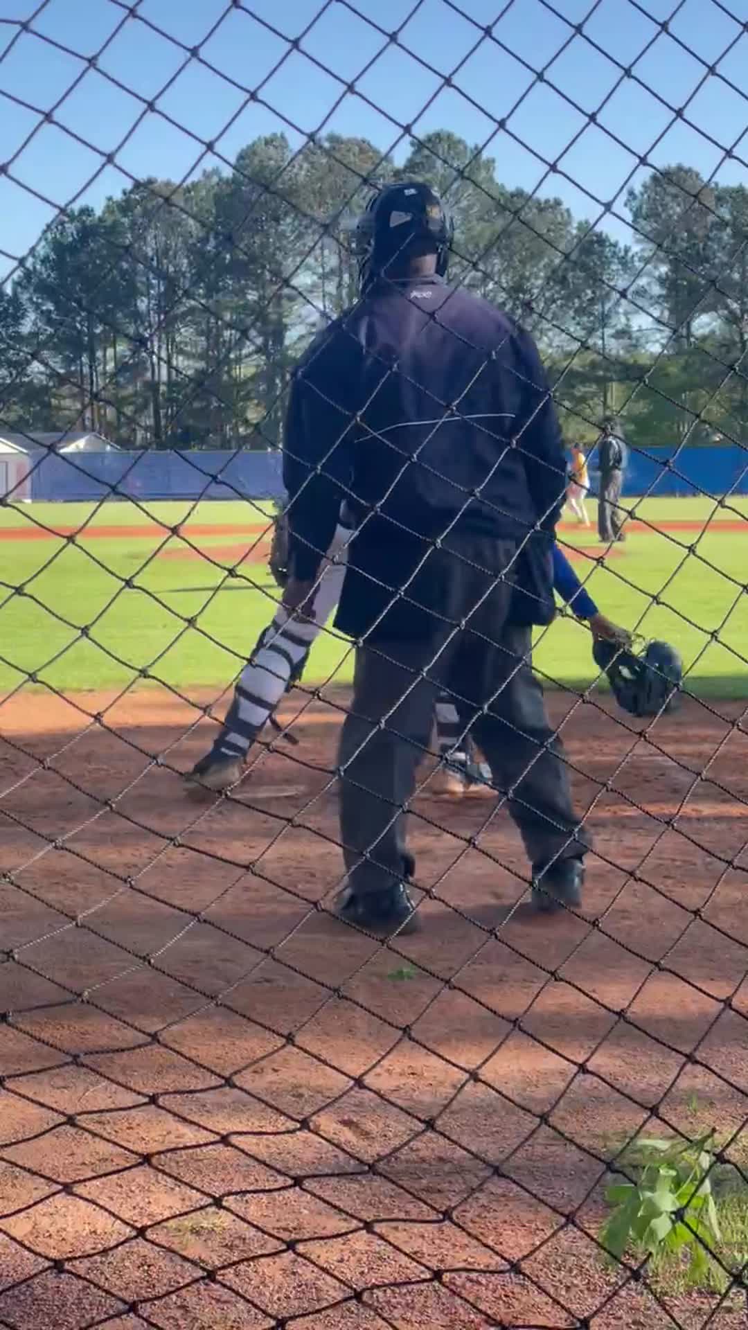Nice oppo taco