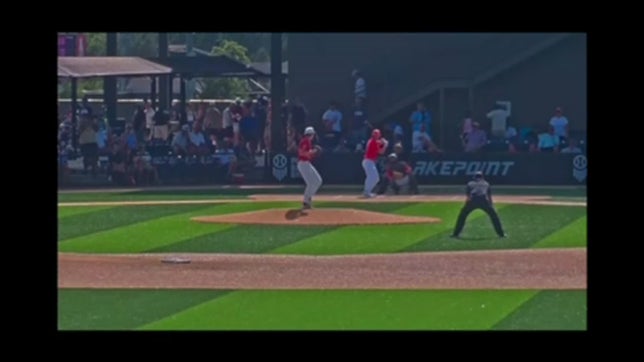 Compilation of 2024 summer