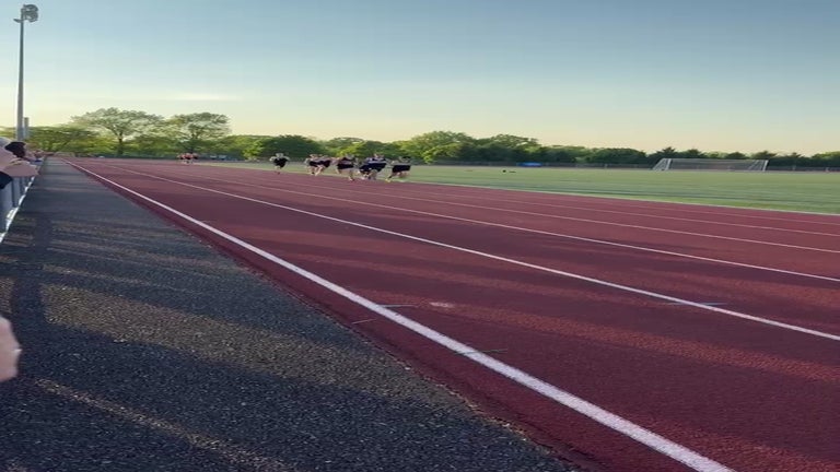 Video player poster image