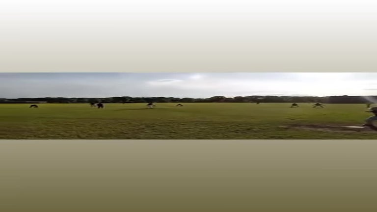 Video player poster image