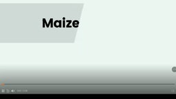 Maize Vs Andover