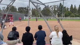 Westminster Lions Softball