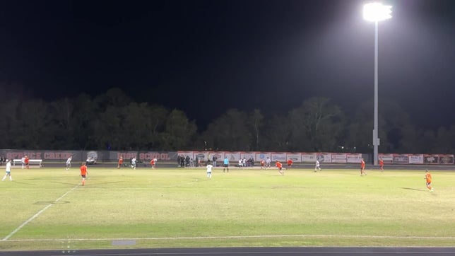 West Port x Spruce Creek - Antonio (Goal)