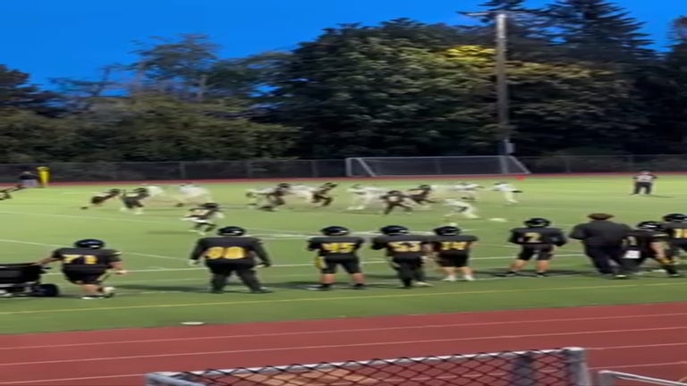 Video player poster image