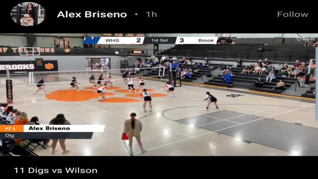11 Digs, 1 Ace