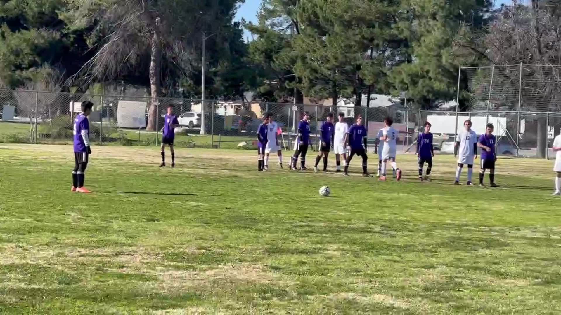 Magnolia 2 VS Magnolia 1