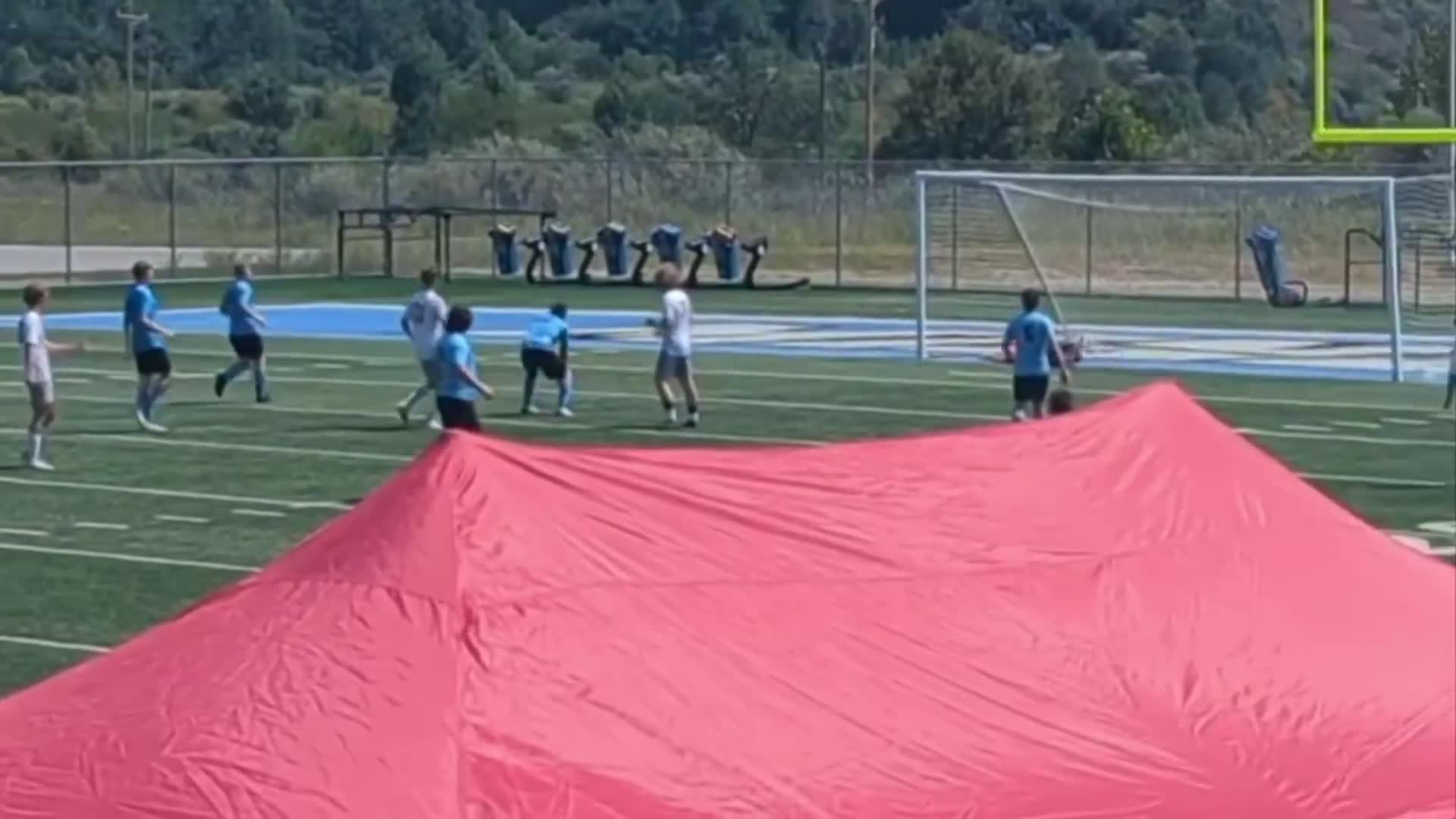 Goal VS Mingo Central