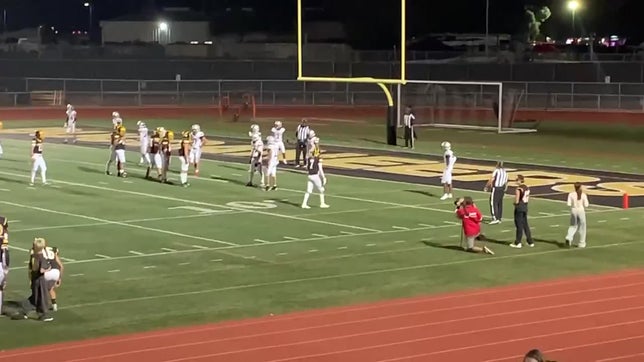 2nd touchdown pass for Sean Lander