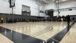 Brock with a dazzle dazzle