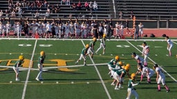 Arana TD pass #2 to Lomeli