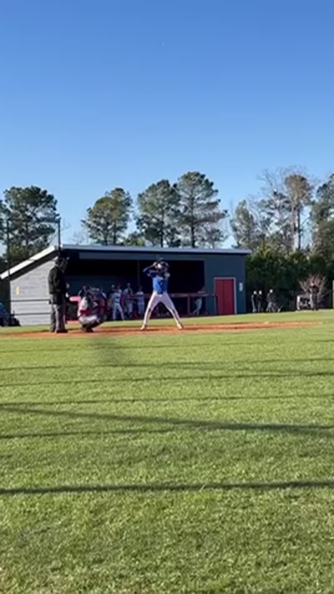 JD Sardi perfect bunt