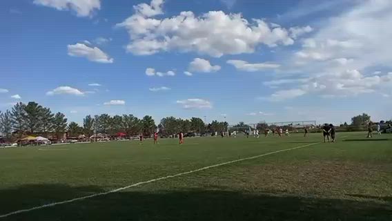Willcox Vs. Pima